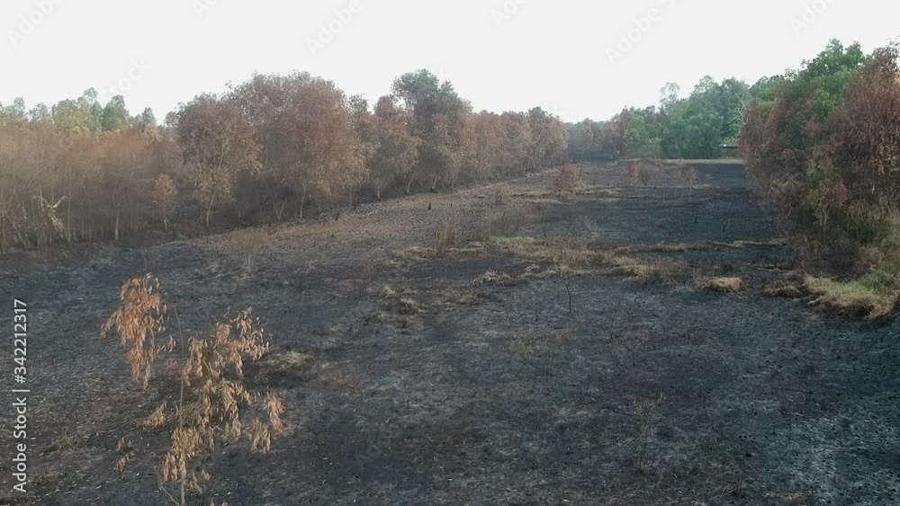 Aerial view of the land covered with ashes after the fire in the forest. Aerial view of the land covered with ashes after the fire in the forest.