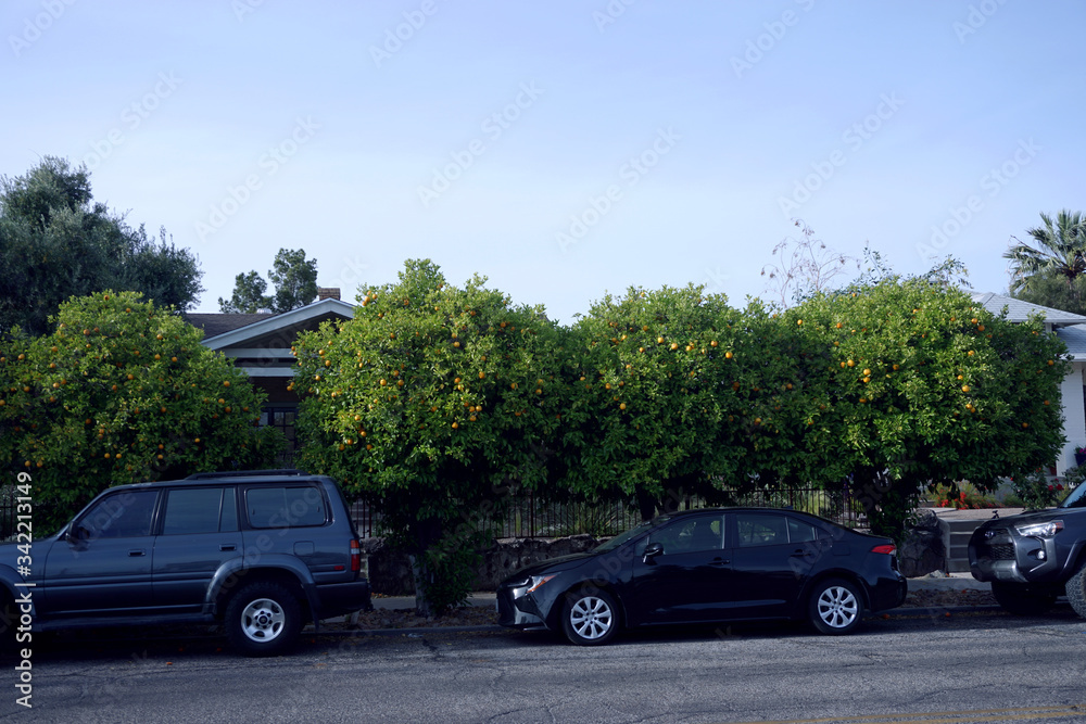 Fototapeta premium cars on the road