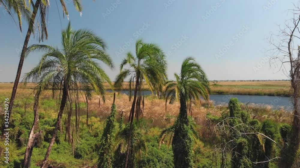 Drone View Of The Okavango River In Botswana - Aerial Drone Shot Drone View Of The Okavango River In Botswana - Aerial Drone Shot