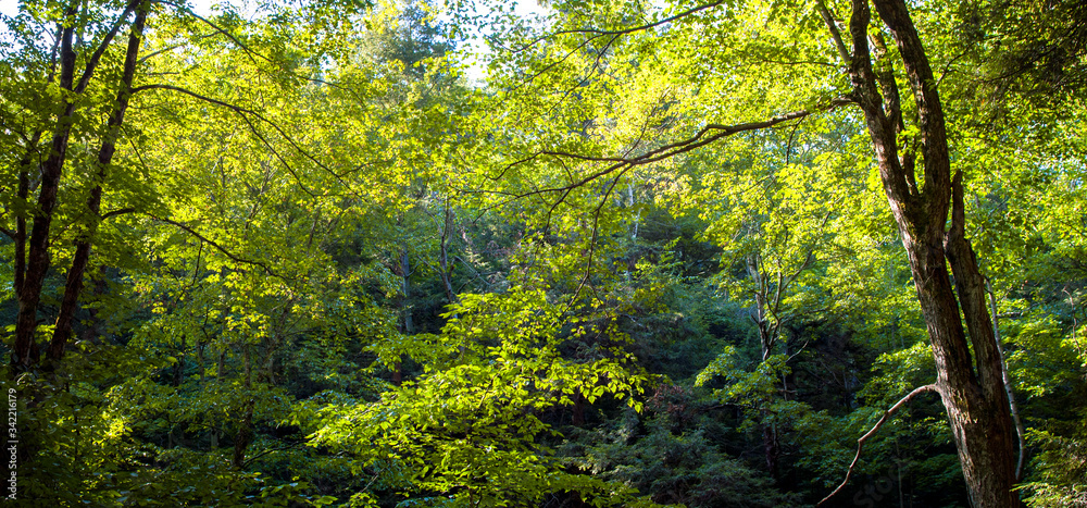 Summer Home in the Finger Lakes Upstate New York Adirondacks Catskills Summer Home in the Finger Lakes Upstate New York Adirondacks Catskills