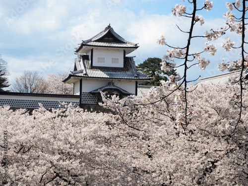 the kanazawa castle park in japan © Twill