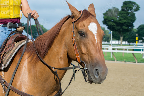 Exercise at Horse Racing Track Upstate New York Adirondacks Saratoga Race Course