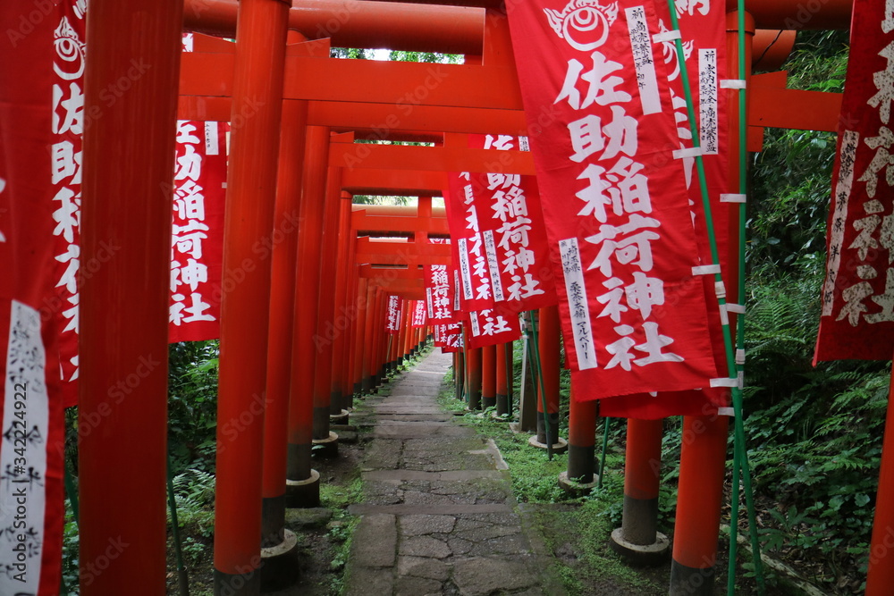 佐助稲荷神社の鳥居（鎌倉）