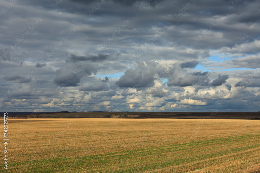 field of wheat field of wheat