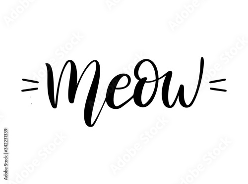 Meow, cat cute print. Vector lettering, cute slogan about cat.