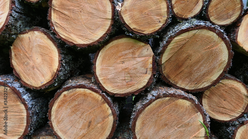 stack of logs background texture or wallpaper stack of logs background texture or wallpaper