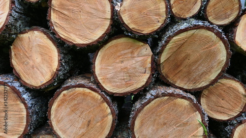 stack of logs background texture or wallpaper