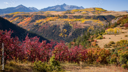 Colorful Fall landscape in Colorado