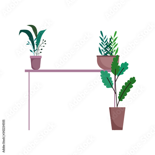 potted plants in table interior decoration isolated icon on white background