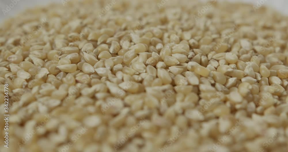 Rack Focus Close Up of Corn Kernels Rack Focus Close Up of Corn Kernels