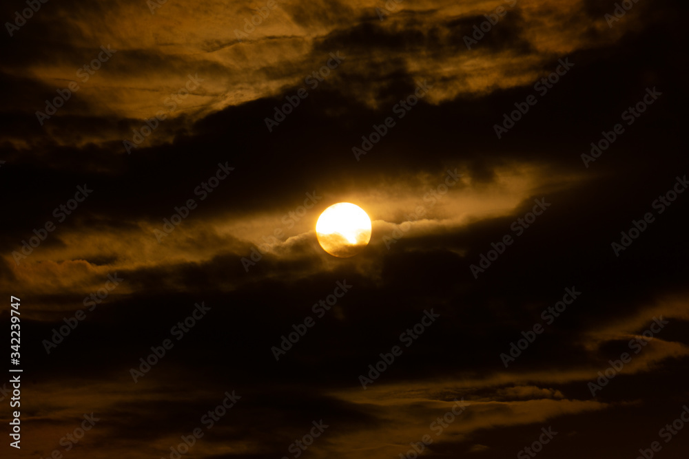 This all photos is clicked by digital camera or its natural photos not edited in any application.
all photos is clicked in evening after rain stop. This all photos is clicked by digital camera or its natural photos not edited in any application.
all photos is clicked in evening after rain stop.