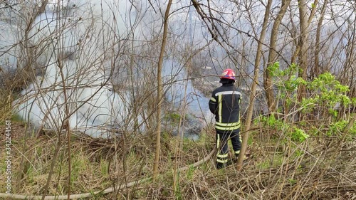 Firefighters work hard, Walk through Smokey Forest. Extinguish a fire
