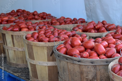 Photos Stock of tomatoes rotting on the spot because the supply chain no longer works