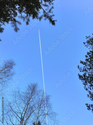 blue sky and trees