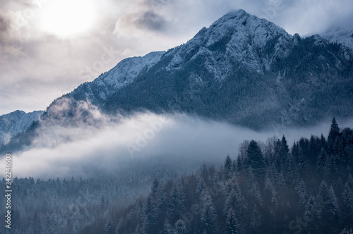 Fototapeta Naklejka Na Ścianę i Meble -  Frozen mountain peak before storm, Piatra Craiului, Zarnesti.