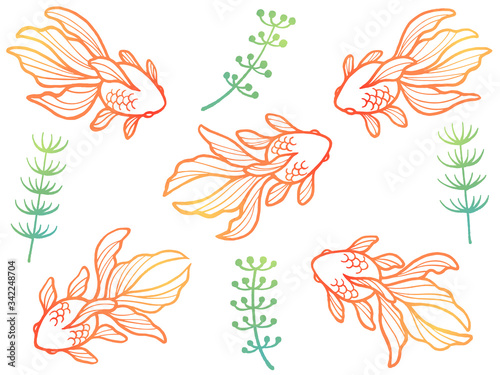 金魚と水草の線画イラストセット（グラデーション）