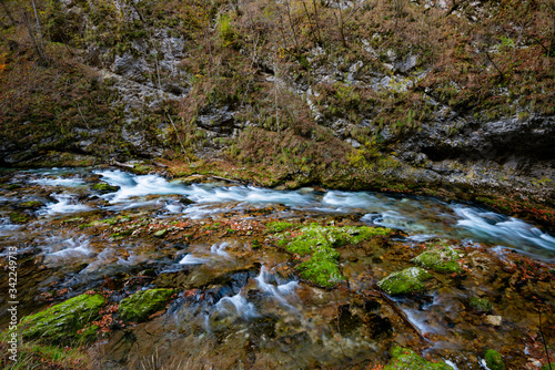 mountain water flowing over rocks and vegetation