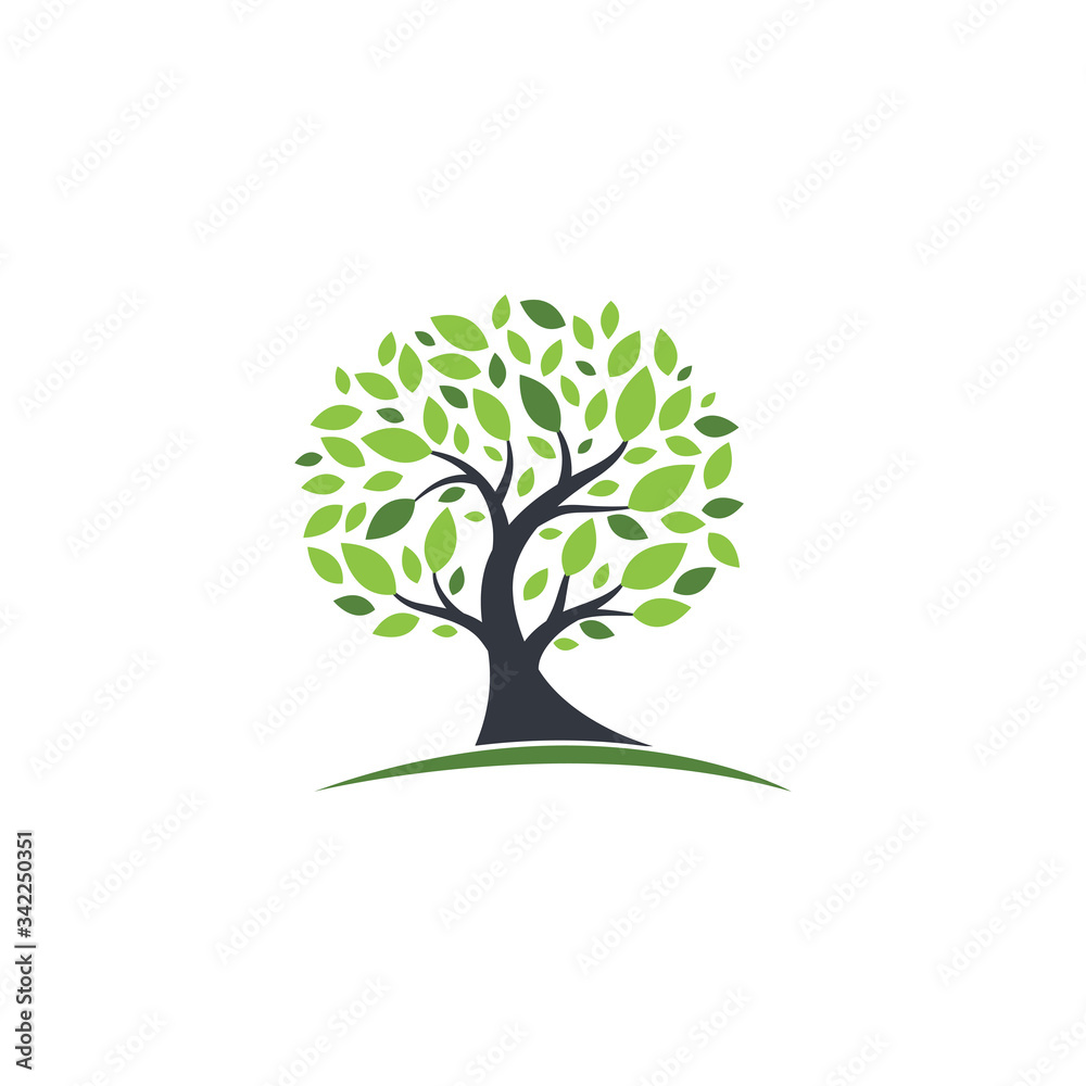 Tree Logo template vector icon Tree Logo template vector icon