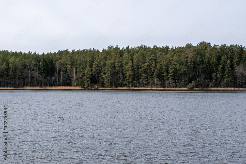 Quiet lake in the forest with a pier, in cloudy weather. Quiet lake in the forest with a pier, in cloudy weather.