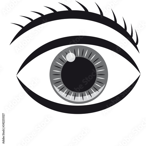 Auge 2