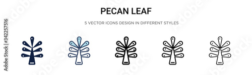 Pecan leaf icon in filled, thin line, outline and stroke style. Vector illustration of two colored and black pecan leaf vector icons designs can be used for mobile, ui, web