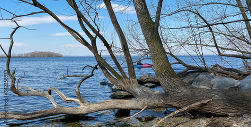 lake kayak hanging trees