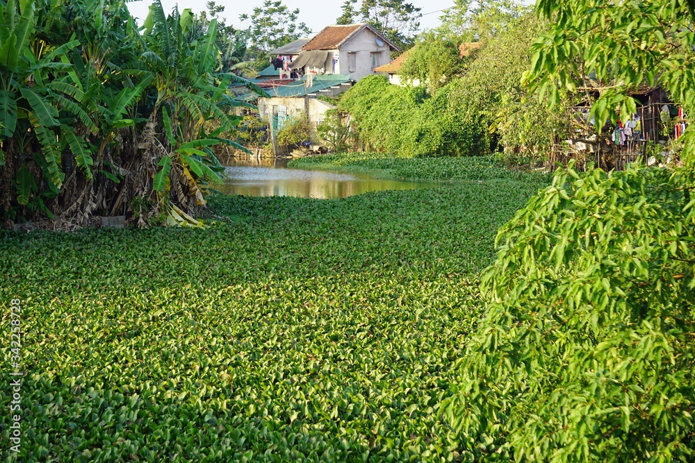 Obraz premium lovely exotic landscape in hue