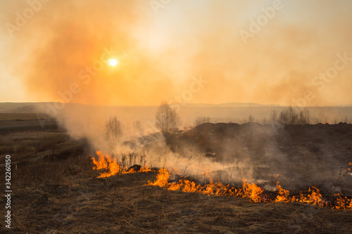 Forest fire burning, Wildfire close up at day time