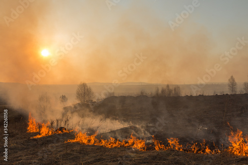 Forest fire burning, Wildfire close up at day time