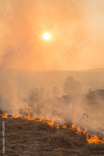 Forest fire burning, Wildfire close up at day time © adydyka2780