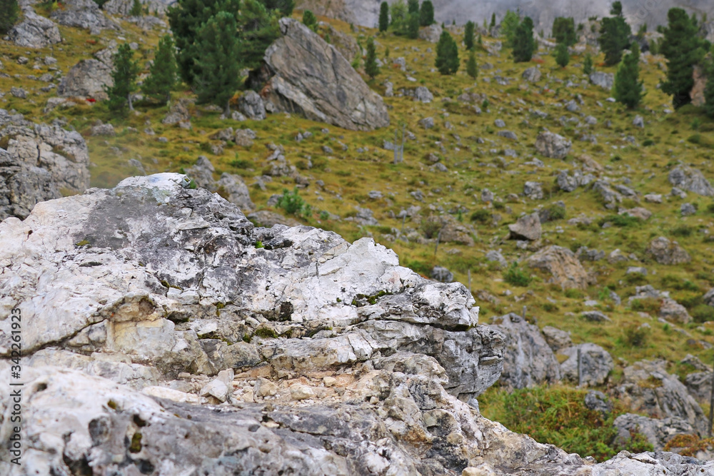 Close up of a small piece of rock. Dolomites, Italy. Selective focus.