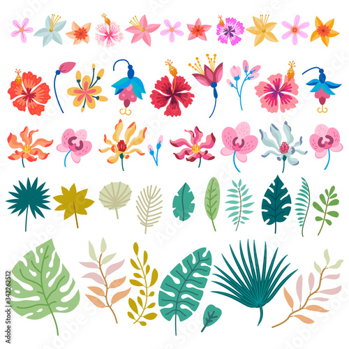 Big set of tropical flowers. Floral elements