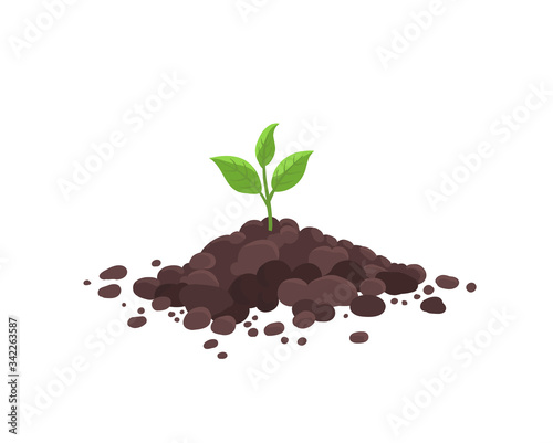Sprout seedling shoot germination in the pile dirt soil. Young plant. Growing in the ground. Agricultural spring. Vector.