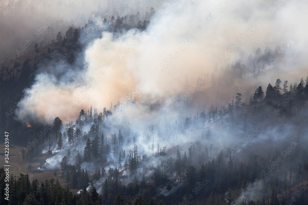Forest Fire in Dixie National Forest