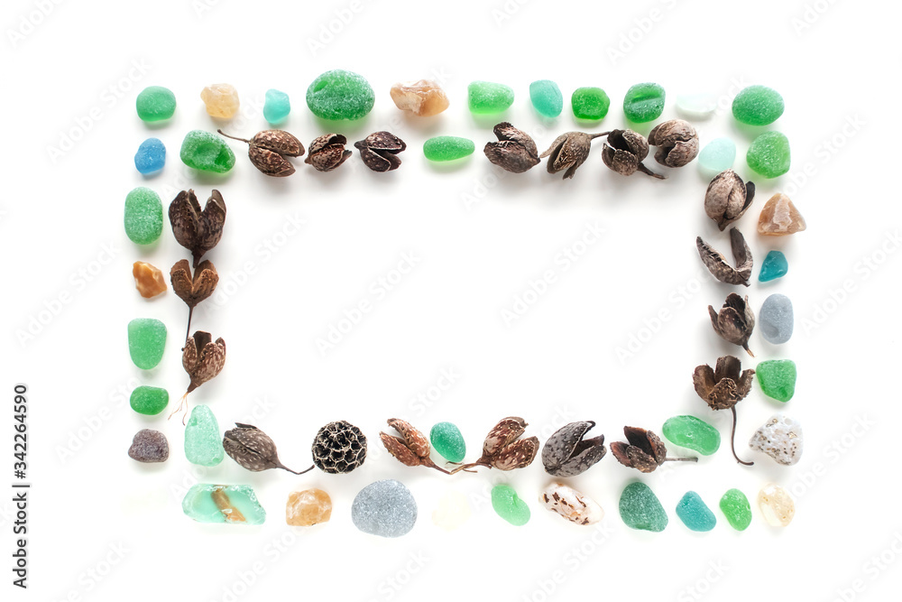 design element: frame - dry plants and sea glass design element: frame - dry plants and sea glass