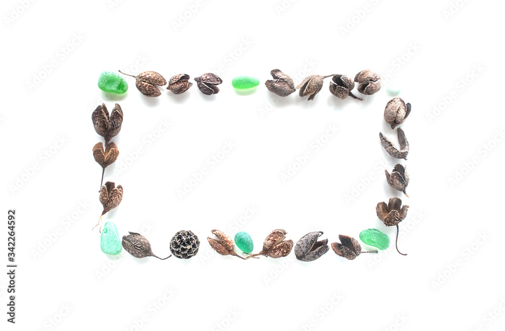 design element: frame - dry plants and sea glass design element: frame - dry plants and sea glass