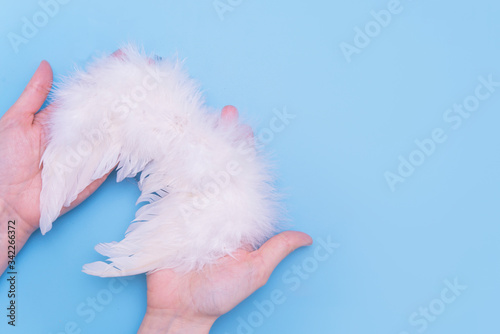 angel wings concept on blue background