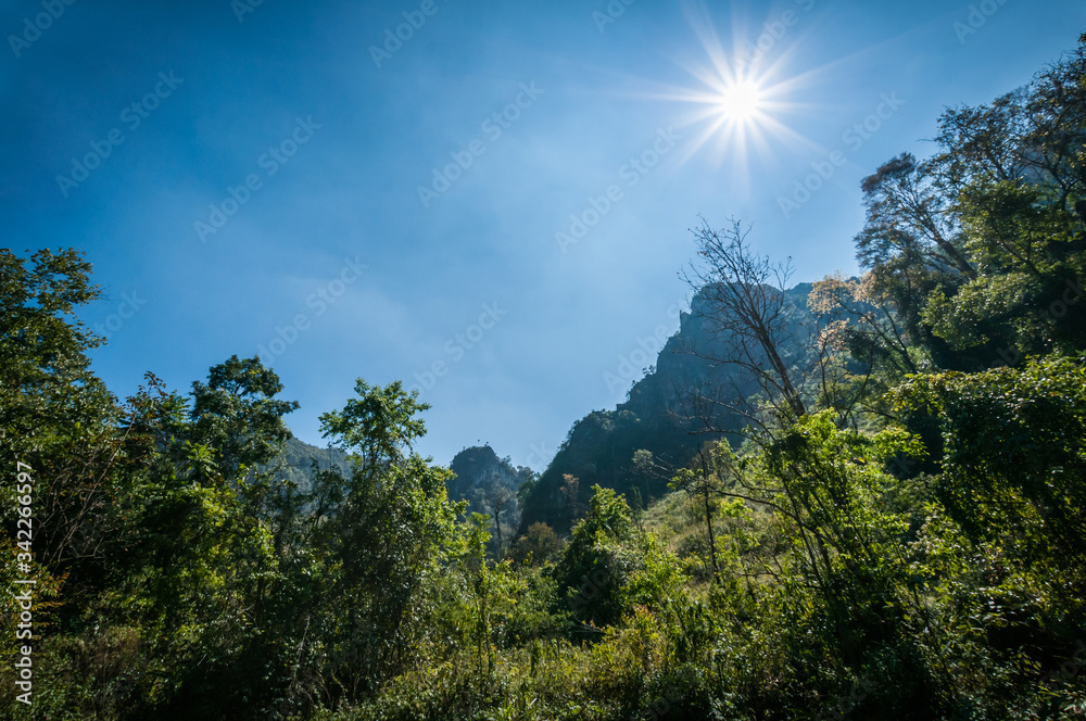 sun light and mountain forest landscape