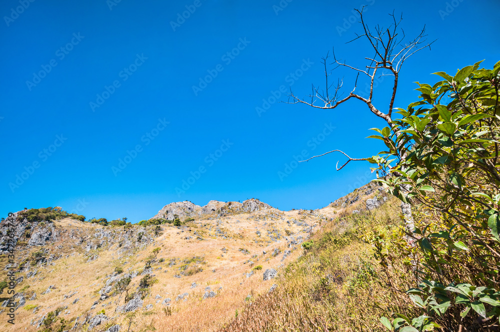 Mountain of Doi Luang Chiang Dao natural park Landscape Mountain of Doi Luang Chiang Dao natural park Landscape