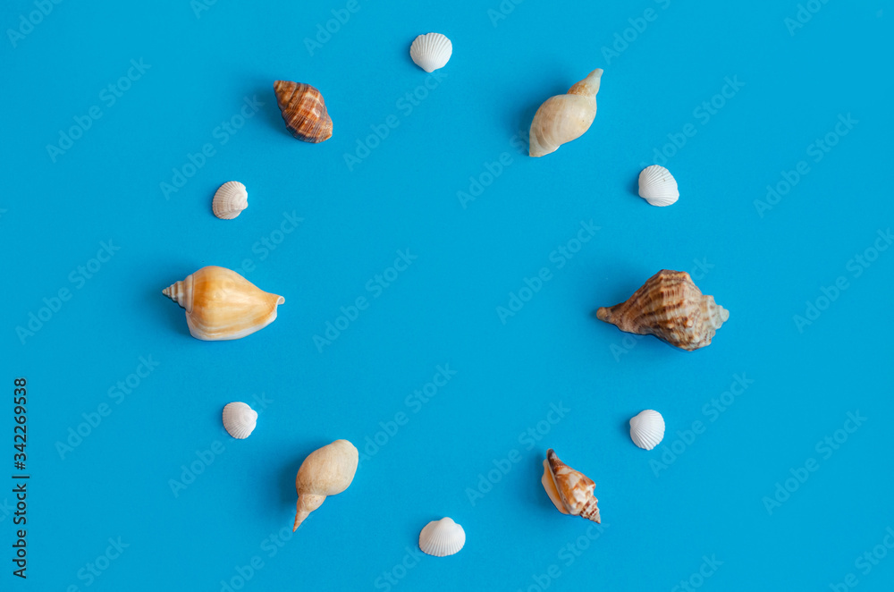 Creative various seashell pattern on pastel blue background with copy space. Summer flat lay. Creative various seashell pattern on pastel blue background with copy space. Summer flat lay.