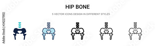 Hip bone icon in filled, thin line, outline and stroke style. Vector illustration of two colored and black hip bone vector icons designs can be used for mobile, ui, web