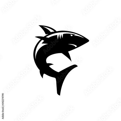 scary silhouette of shark the ocean predator vector illustration design