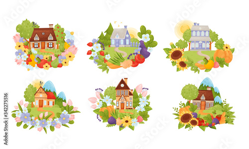 Village Houses Standing on Meadow with Winding Path Surrounded by Circular Crop and Flower Arrangement Vector Set