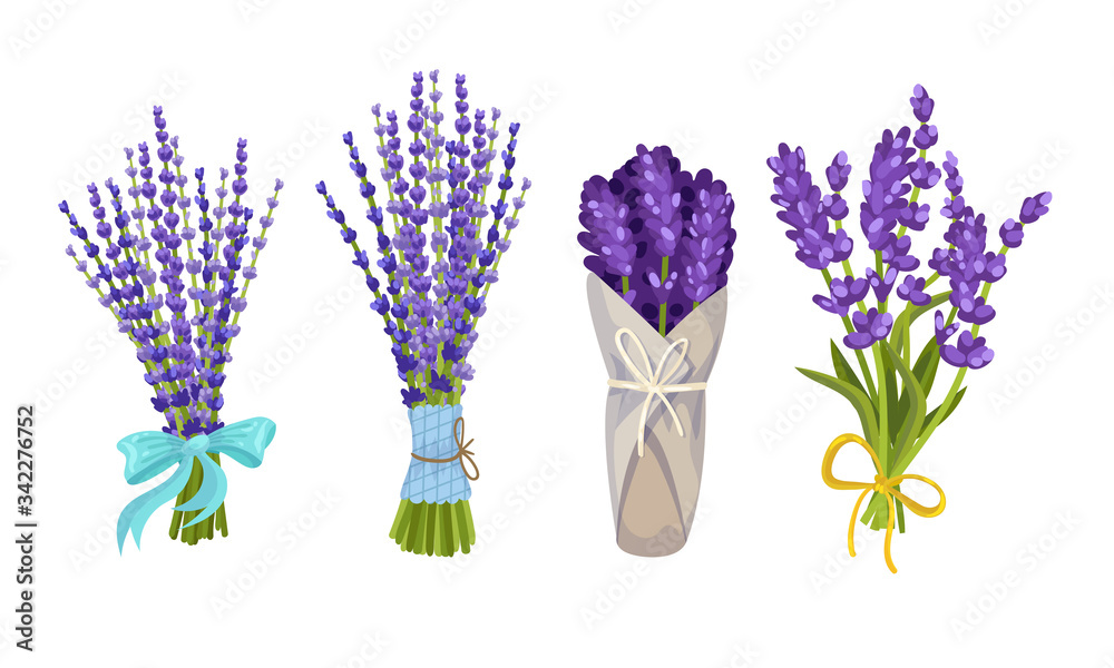 Lavender Floral Twigs Tied with Ribbon in Bunches and Wrapped in Paper Vector Set - obrazy, fototapety, plakaty 