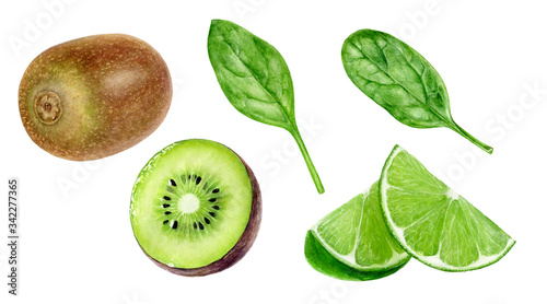 Kiwi fruit lime spinach set watercolor isolated on white background