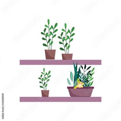 shelf with potted plants flowers decoration gardening isolated icon on white background