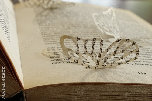 paper butterfly on a book, words fly concept