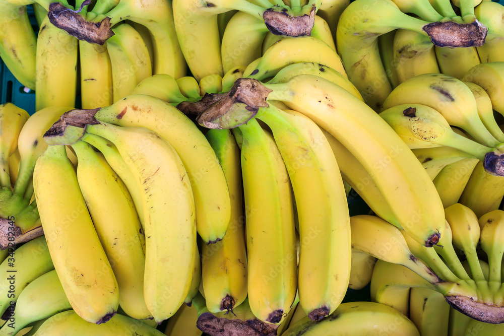 Fresh banana background. Top view of yellow bananas in fruit market.