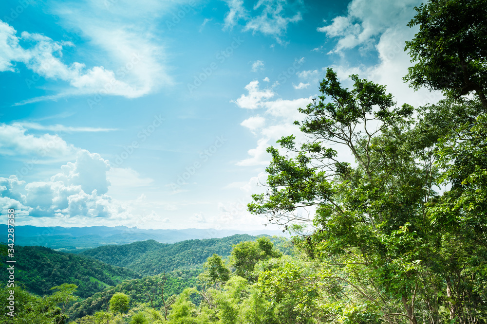 Landscape of mountain green forest and clouds sky Landscape of mountain green forest and clouds sky