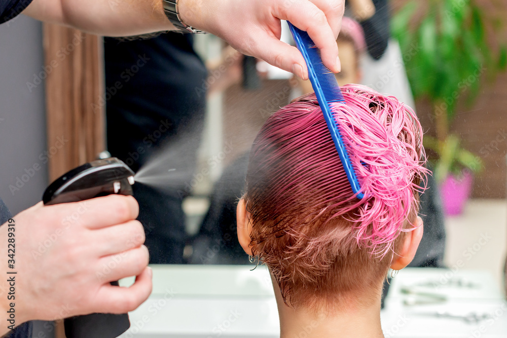 Fototapeta premium Hands of hairdresser are sprinkling water on pink hair of woman.